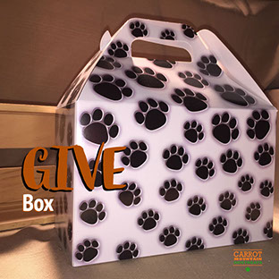 X-large dog treat in a the shape of a waving flag