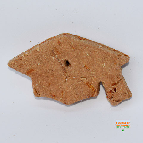 X-large dog treat in the shape of a mortar board